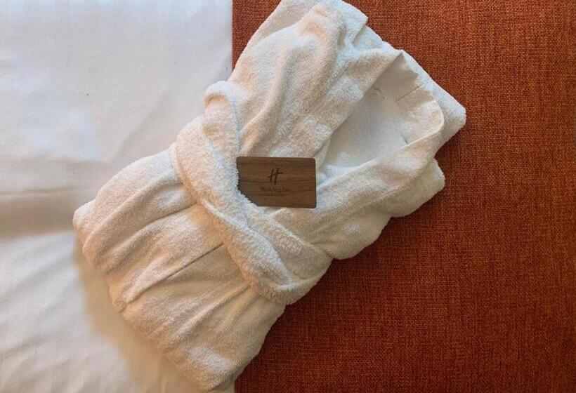 プレミアムルーム, Holiday Inn   Salzburg City, An Ihg