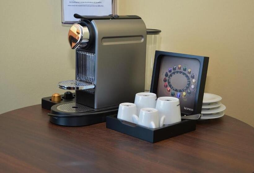 プレミアムルーム, Holiday Inn   Salzburg City, An Ihg