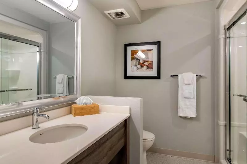 اتاق استاندارد با تخت بزرگ, Quality Inn & Suites Amsterdam