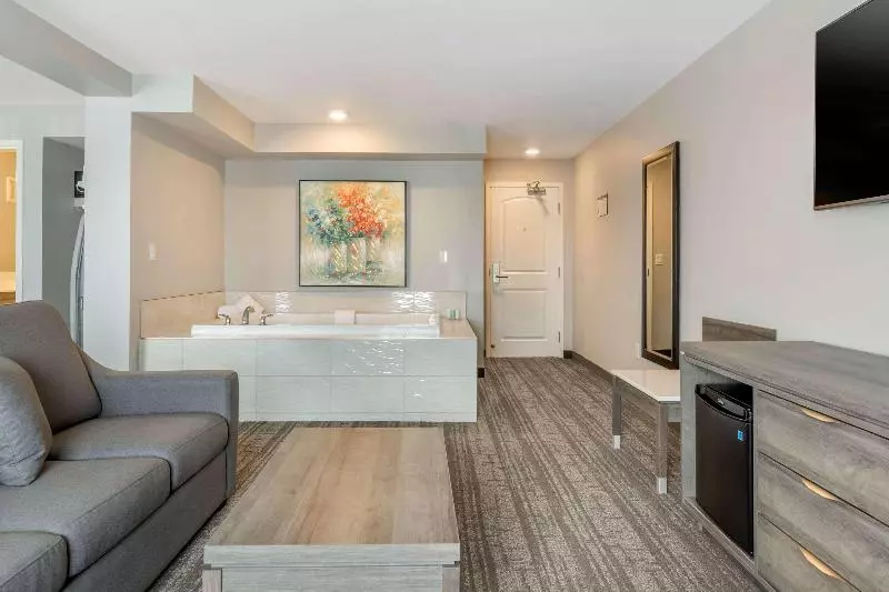 اتاق استاندارد با تخت بزرگ, Quality Inn & Suites Amsterdam