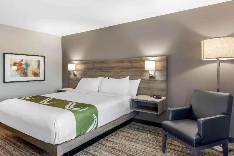 اتاق استاندارد با تخت بزرگ, Quality Inn & Suites Amsterdam