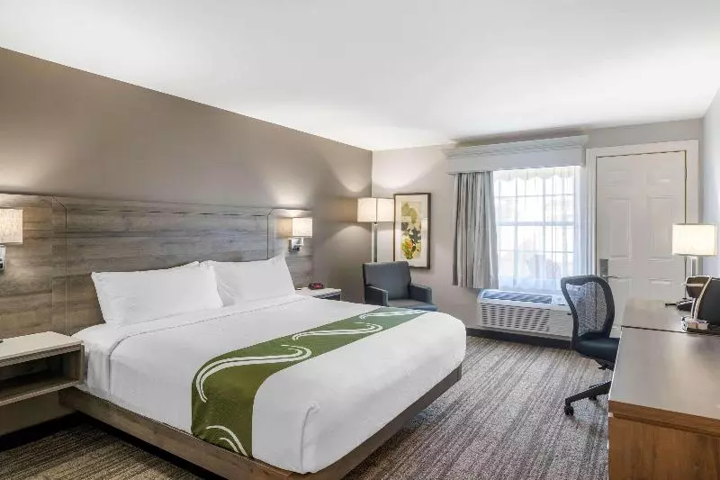 اتاق استاندارد با تخت بزرگ, Quality Inn & Suites Amsterdam
