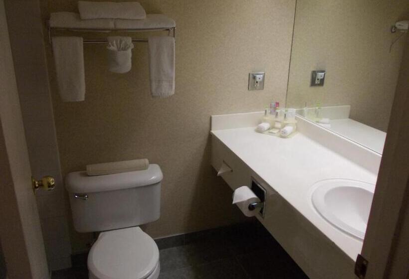 غرفة قياسية, Rocky Inn Express