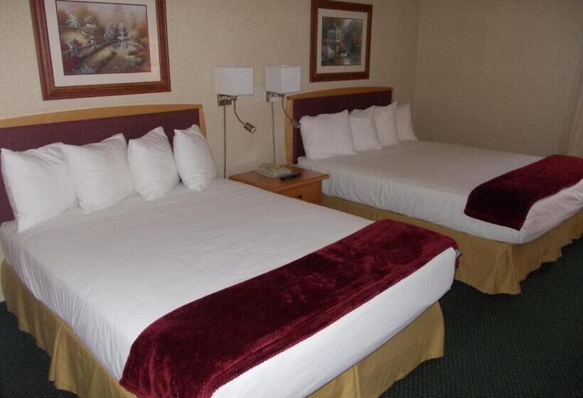 غرفة قياسية, Rocky Inn Express