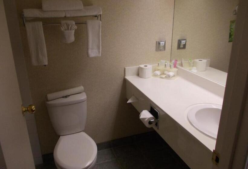 غرفة قياسية, Rocky Inn Express