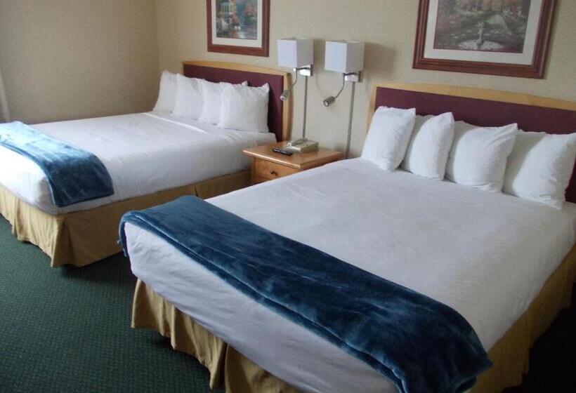 غرفة قياسية, Rocky Inn Express