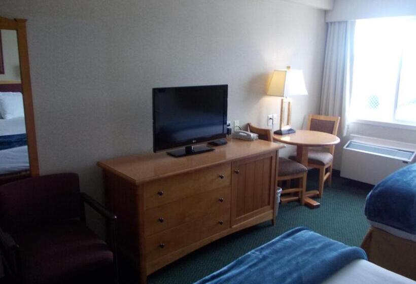 غرفة قياسية, Rocky Inn Express