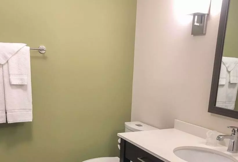 ２ダブルベッドのスタンダードルーム, Sleep Inn & Suites Quebec City East