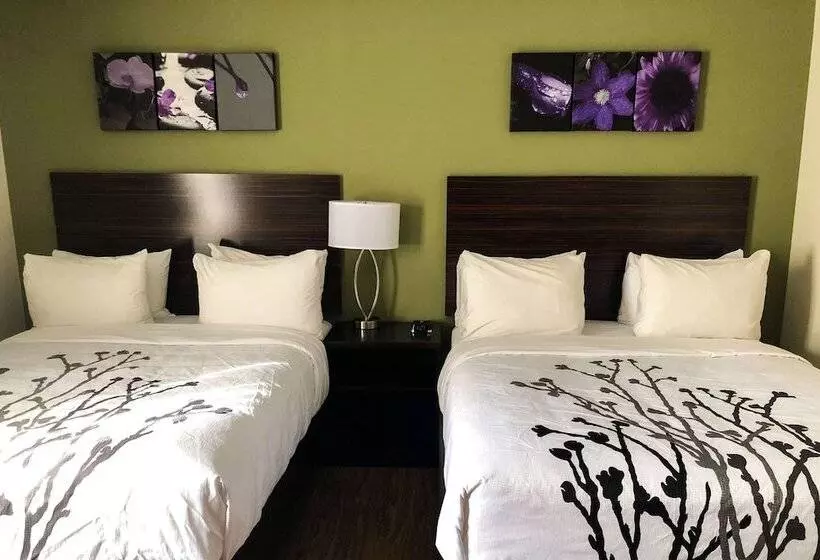 ２ダブルベッドのスタンダードルーム, Sleep Inn & Suites Quebec City East