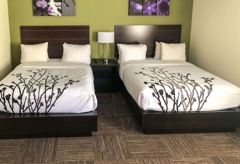 Номер Стандарт 2 Двуспальные Кровати, Sleep Inn & Suites Quebec City East