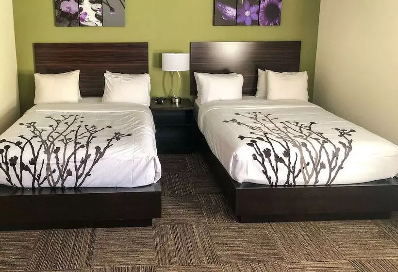 ２ダブルベッドのスタンダードルーム, Sleep Inn & Suites Quebec City East