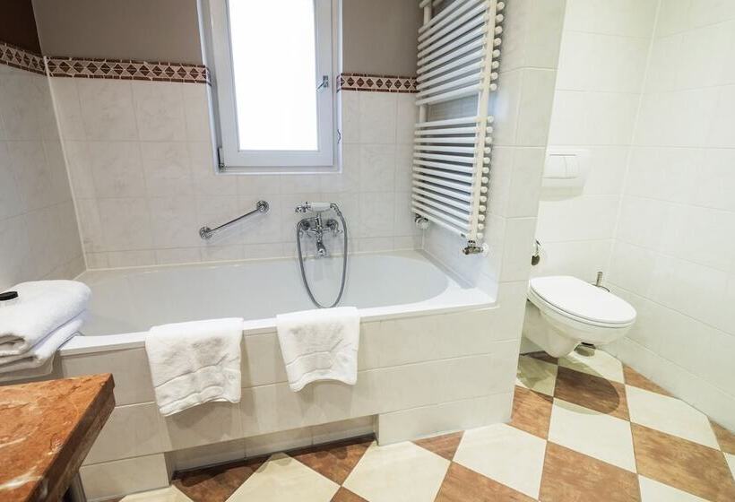 חדר סטנדרט, Van Der Valk Hotel Kasteel Terworm