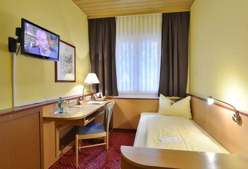اتاق استاندارد یک نفره, Burghotel Stammhaus