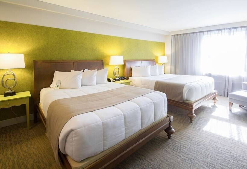 اتاق لوکس, Champlain