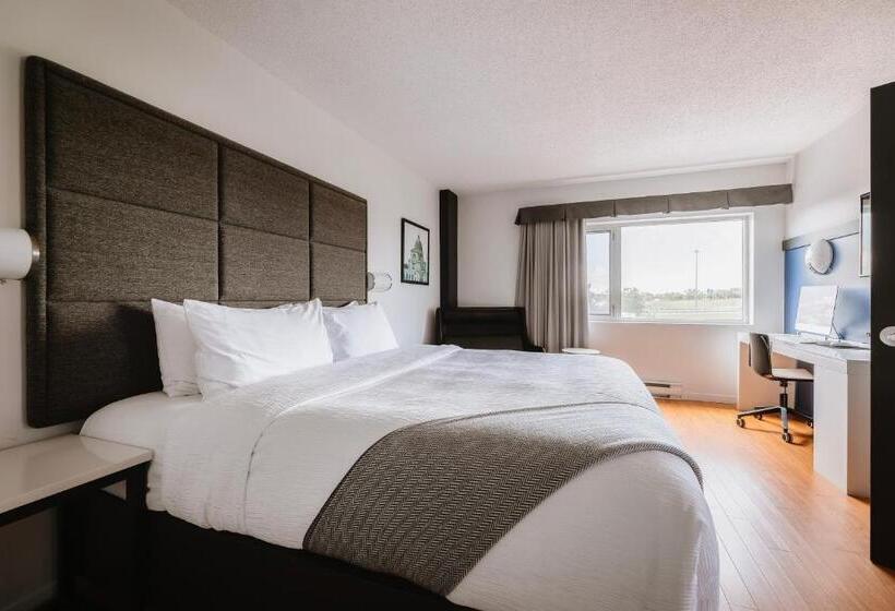 带大床的标准间, Le Dauphin Montreallongueuil