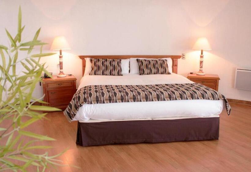 חדר סופריור, Montecarlo Vina Del Mar