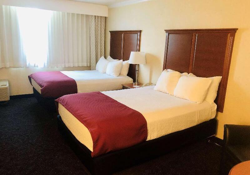 غرفة سوبيريور, Aqua