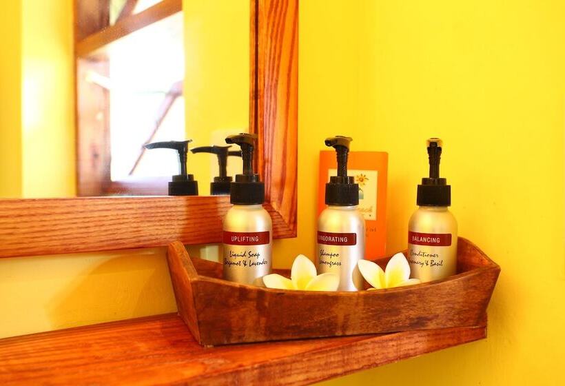 بانگلوی استاندارد, Coco Beach Resort