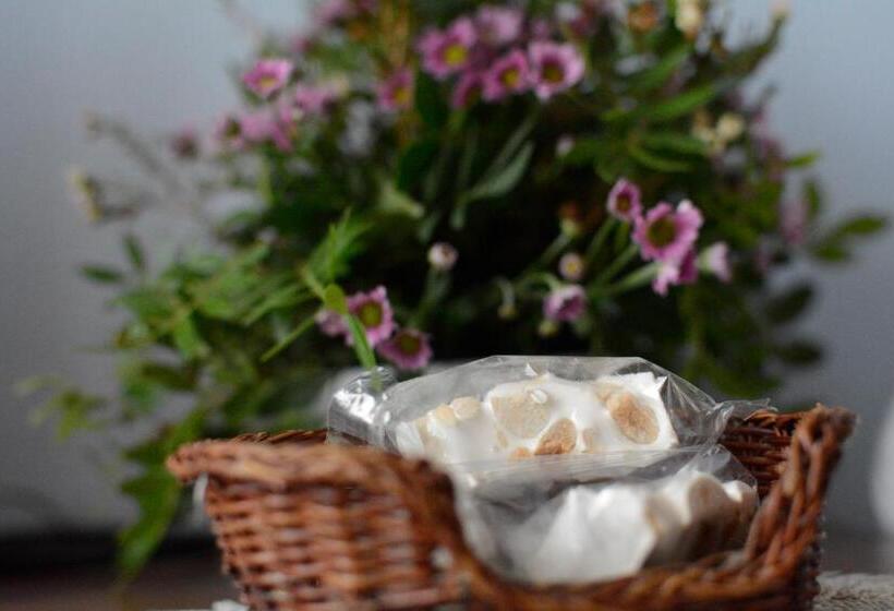 Семейный Номер, Funtana Noa