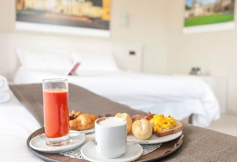 スタンダードシングルルーム, Green Class Hotel Candiolo