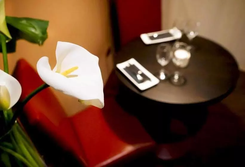 Suite Deluxe, Incontro