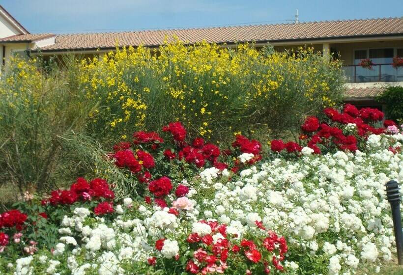 Номер Комфорт, Relax Hotel Aquaviva