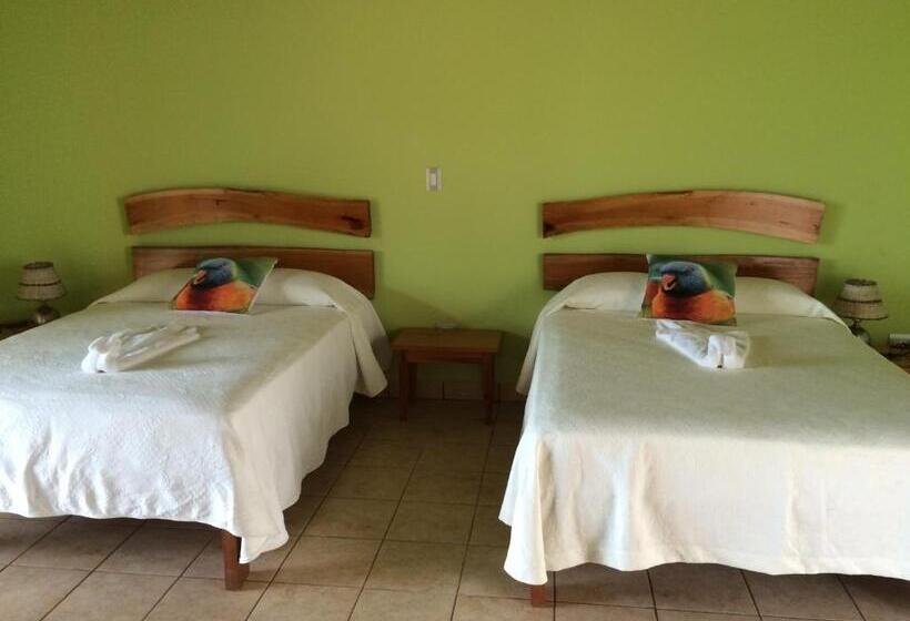 سوییت, Bahia Taitza