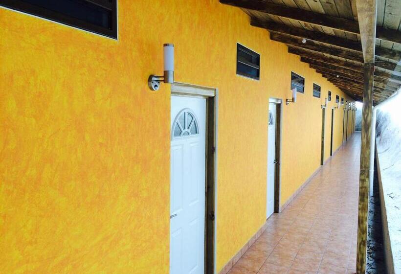 سوییت, Bahia Taitza