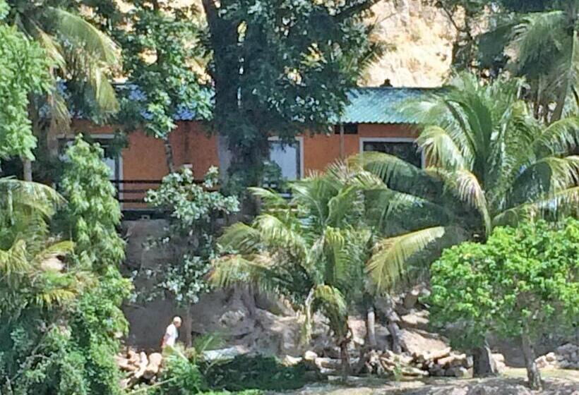 سوییت, Bahia Taitza