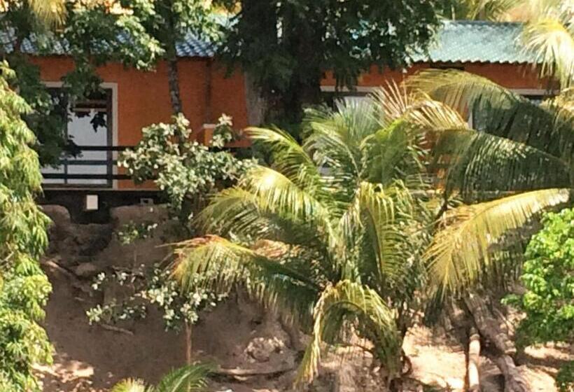 سوییت, Bahia Taitza