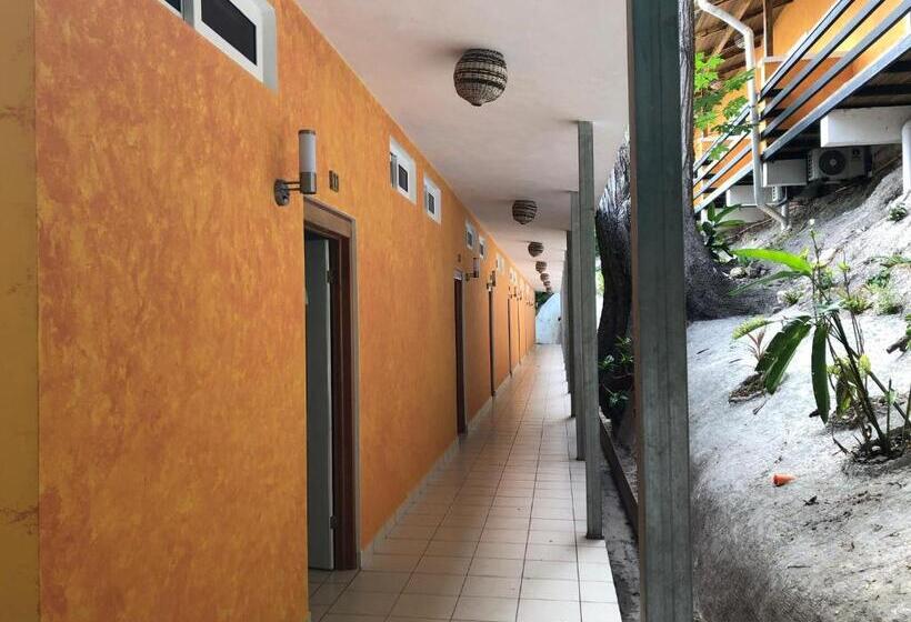 سوییت سوپریور, Bahia Taitza