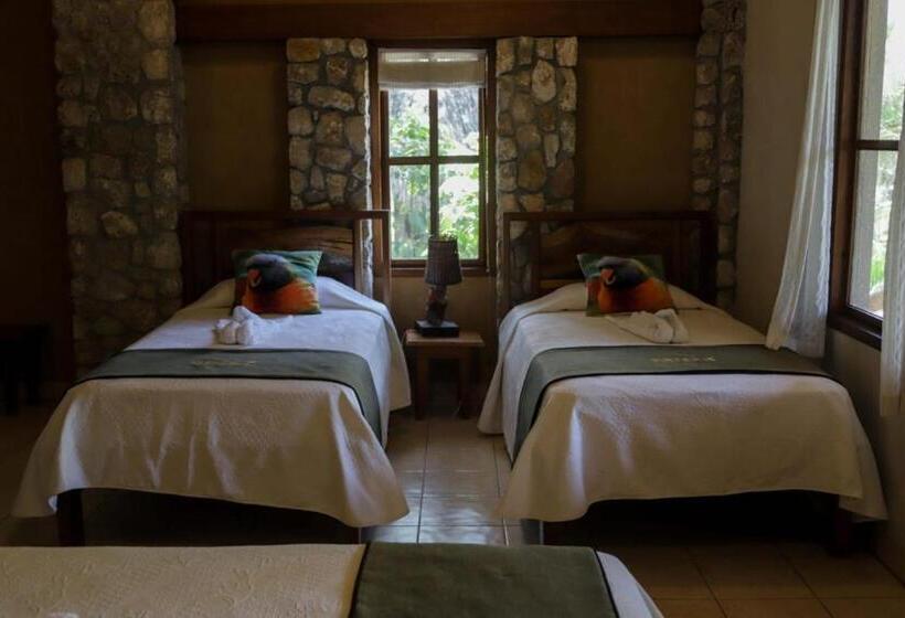 اتاق خانوادگی, Bahia Taitza