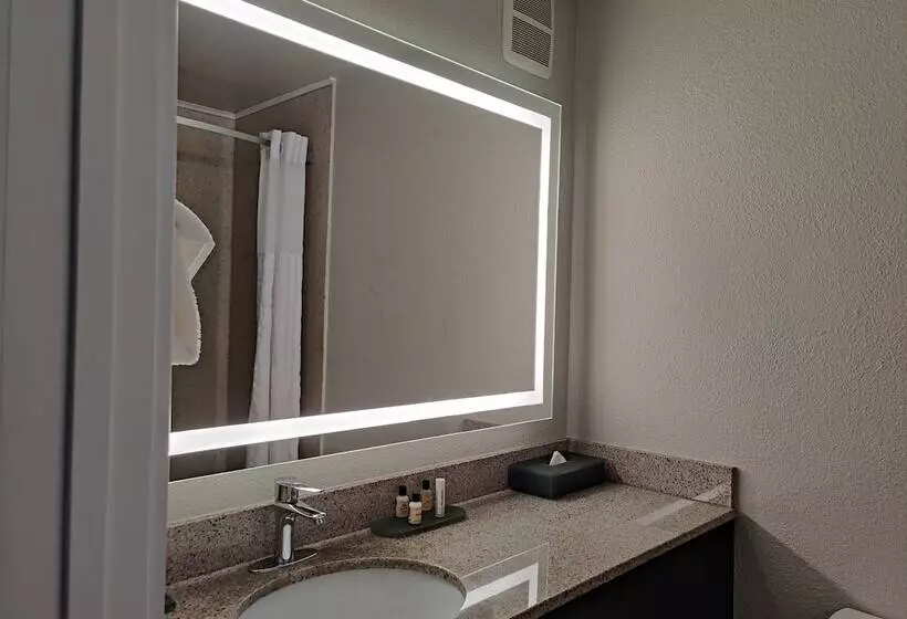 اتاق لوکس, La Quinta Inn By Wyndham Steamboat Springs