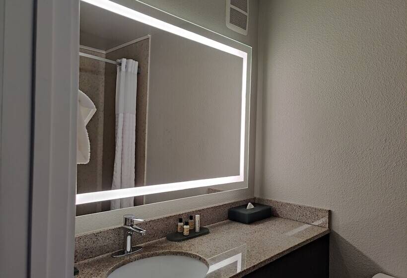 スタンダードルーム, La Quinta Inn By Wyndham Steamboat Springs