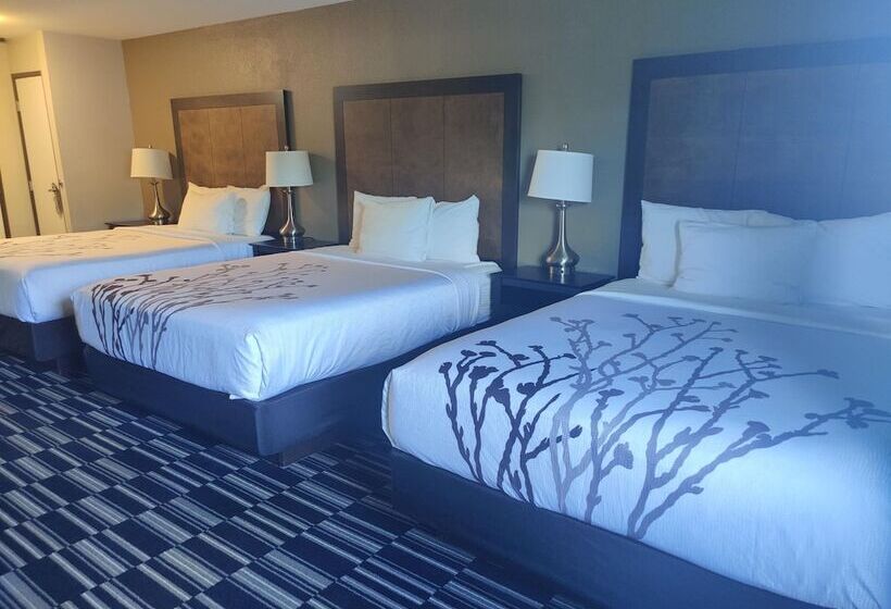 デラックスルーム, La Quinta Inn By Wyndham Steamboat Springs