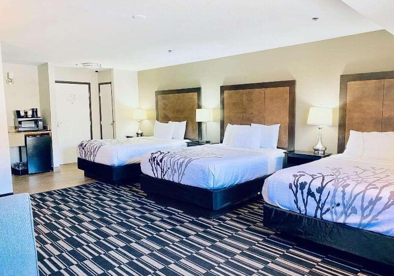 エクゼクティブスイート, La Quinta Inn By Wyndham Steamboat Springs