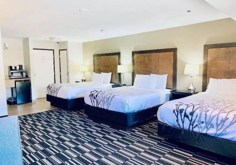 سوییت اجرایی, La Quinta Inn By Wyndham Steamboat Springs