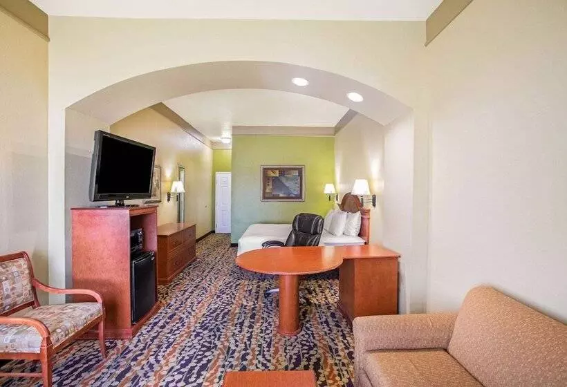 Sviitti Liikuntarajoitteisille, La Quinta By Wyndham Belton Temple South