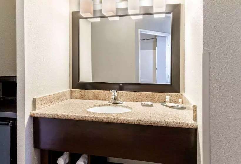 سوییت, La Quinta By Wyndham Roswell
