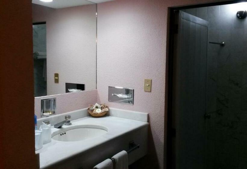 غرفه قياسيه سريرين مزدوجين, Los Arcos