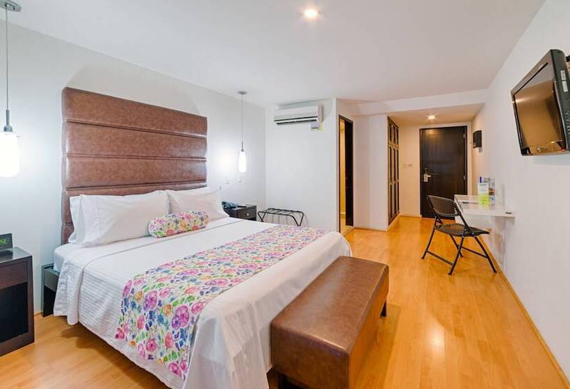 스탠다드 싱글 룸, Metropolis Plaza