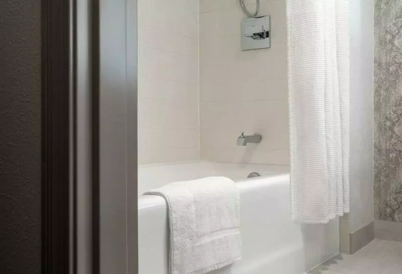اتاق استاندارد با تخت بزرگ, New Orleans Marriott Warehouse Arts District