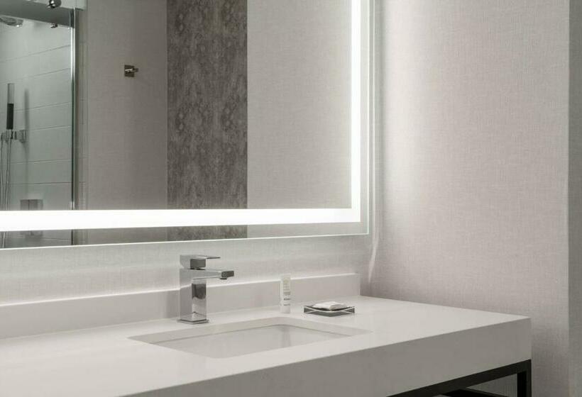 اتاق استاندارد با تخت بزرگ, New Orleans Marriott Warehouse Arts District