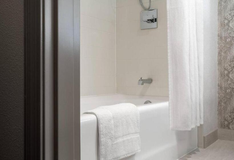 اتاق استاندارد با چشمانداز, New Orleans Marriott Warehouse Arts District