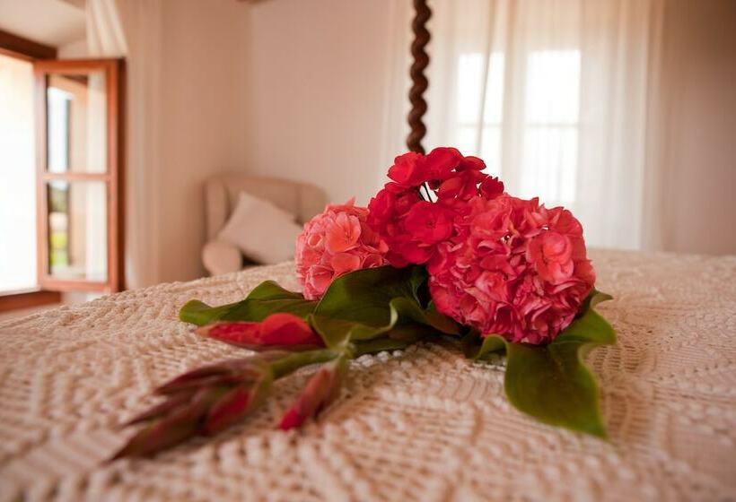 Полулюкс, Finca Son Roig by Valentin