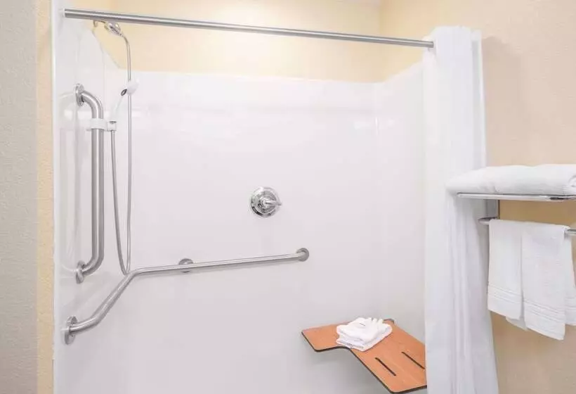 身障者適用スタンダードルーム, Microtel Inn & Suites By Wyndham Albertville