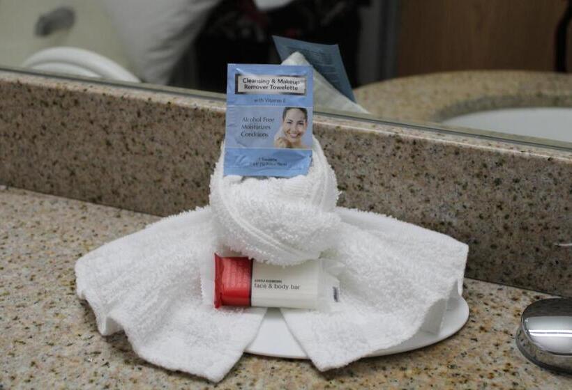 标准间, Microtel Inn & Suites By Wyndham Albertville