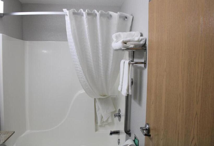 标准间, Microtel Inn & Suites By Wyndham Albertville