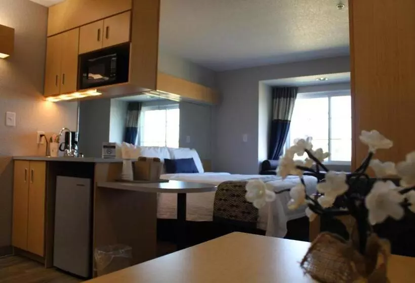 スタンダードスタジオ, Microtel Inn & Suites By Wyndham Albertville