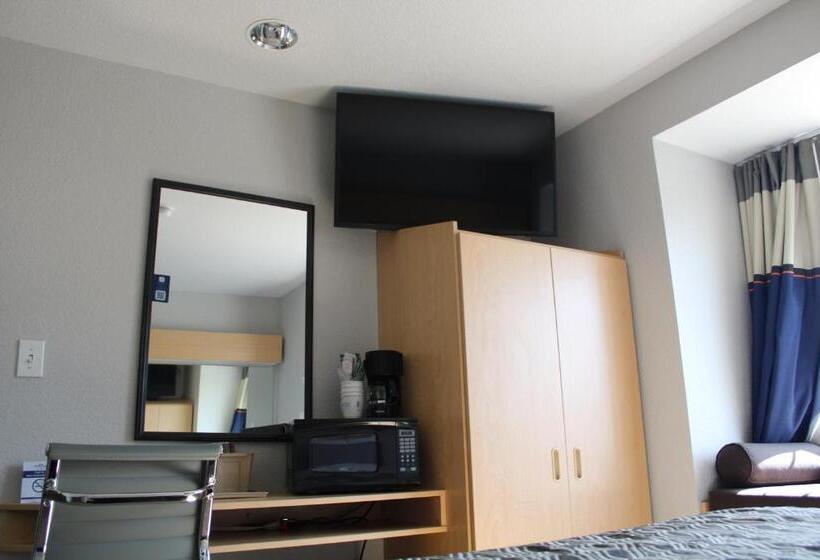 适合残疾人使用的标准间, Microtel Inn & Suites By Wyndham Albertville